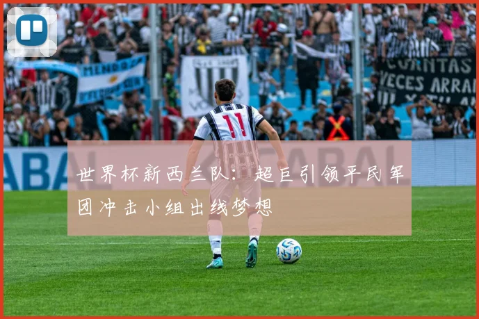 世界杯新西兰队：超巨引领平民军团冲击小组出线梦想