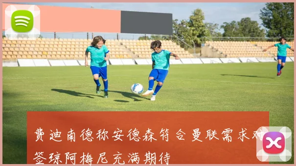 费迪南德称安德森符合曼联需求对签琼阿梅尼充满期待