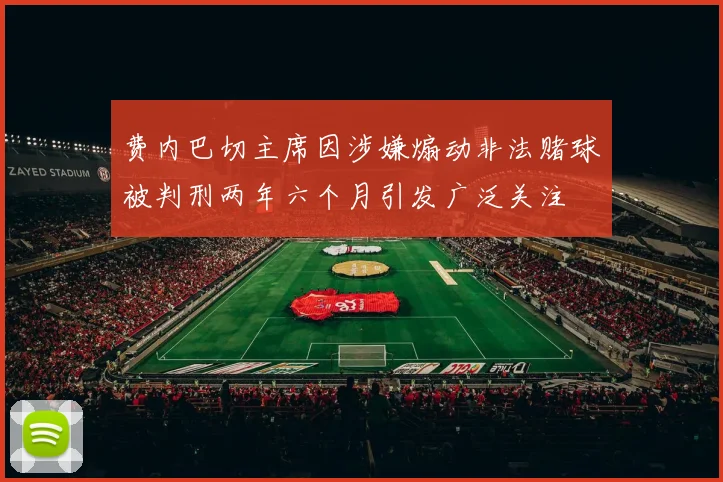 费内巴切主席因涉嫌煽动非法赌球被判刑两年六个月引发广泛关注